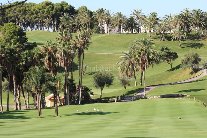 Foto ca36e88b-1db2-4d81-95b2-024f7bba619e. Piccolo appartamento con parcheggio piscina in Zona Centro Comercial Torrequebrada Benalmádena