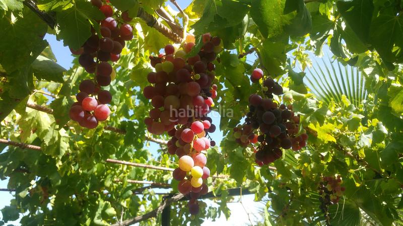 Foto 950673ff-0d41-4a6f-a43b-2e646e41f26b. Maison avec piscine dans Capellanía - Retamar Alhaurín de la Torre
