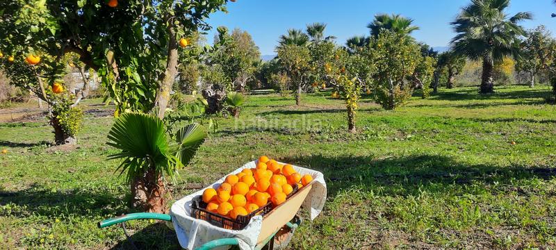 Foto b75a4d53-6ab4-477e-959d-af170d7ddea2. Maison avec piscine dans Capellanía - Retamar Alhaurín de la Torre