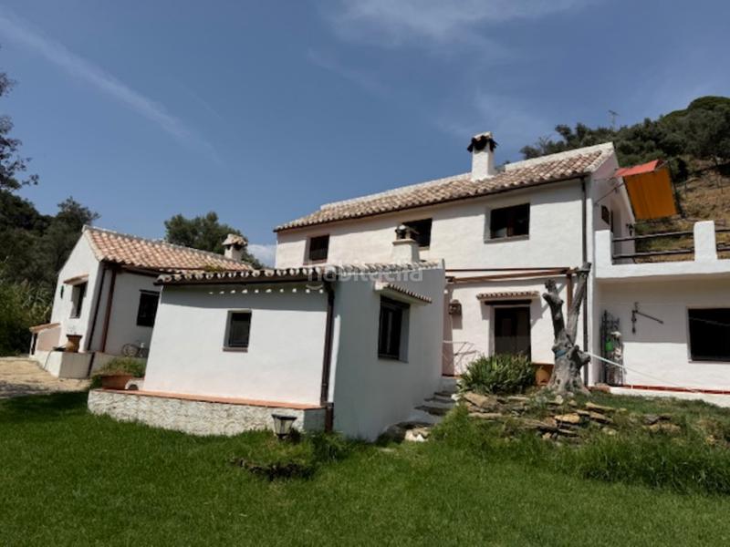 Foto 688c307b-3c49-41d0-a528-928439cf922c. Casa encantadora finca andaluza en Casares pueblo Casares