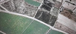 Propriété à Monforte del Cid. Terreno 15.000 metros