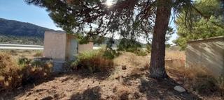 Terreny residencial a Novelda. Parcela 30.000 metros de terreno