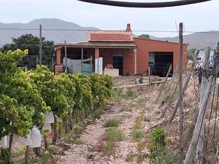 Masia en Novelda. Casa de campo con terreno en novelda