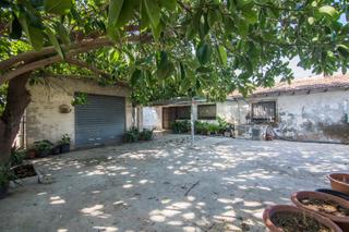 Xalet a La Marina. Se vende esta finca con 1.700 metros de parcela junto camping de