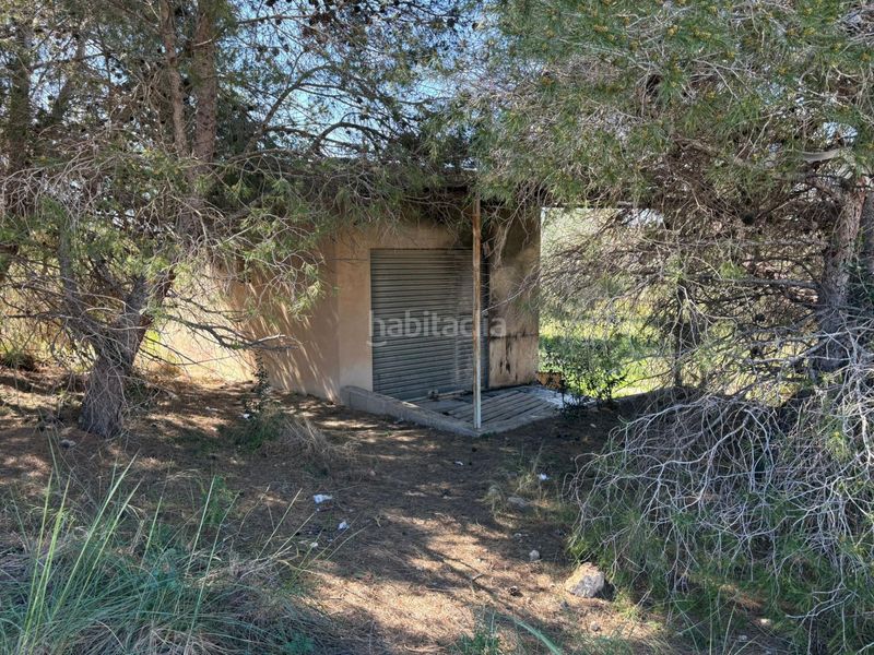 Foto 4a7868f6-a3f8-4333-aa5e-1d30b32c1f30. Xalet a El Altet Elche / Elx