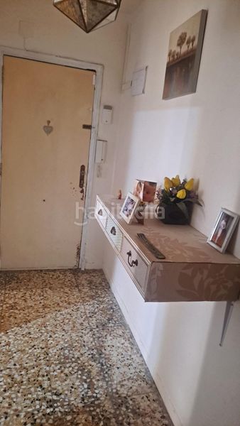 Foto 1d43abd1-84ba-47f4-ad1b-911d1f427443. Pis a Camí dels Magros - Casablanca Elche / Elx