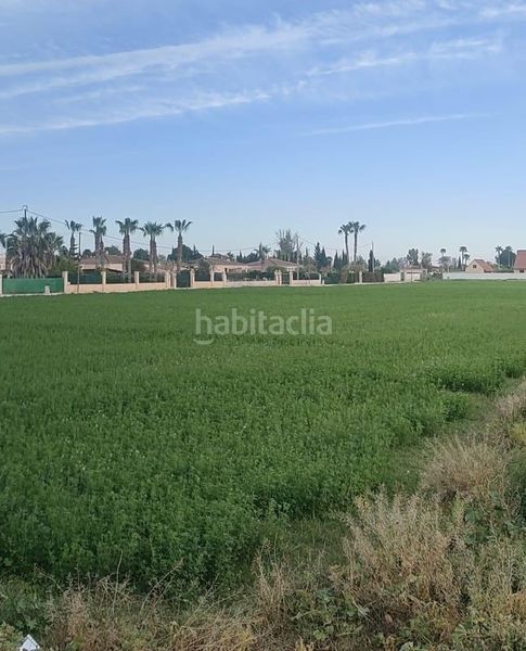 Foto 77fe5052-fb51-460a-b089-c16412bbd148. Terreny residencial a Catral