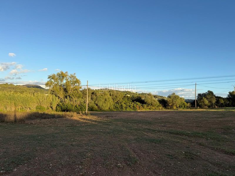 Foto 63dfd6d8-4dc9-4b6e-bc2b-11bc05ec2ee6. Terreny residencial a Manacor centre Manacor
