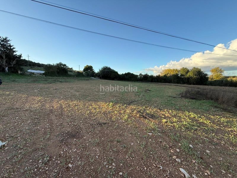 Foto fb234ee4-c68d-456f-a5ee-4b304bc9a836. Terreny residencial a Manacor centre Manacor