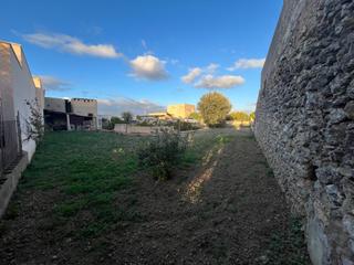 Terreny residencial a Búger. Terreno en buger