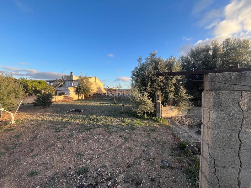 Foto bd9bf3bf-f0b5-4adb-818f-4ec60af12897. Terreny residencial a Búger