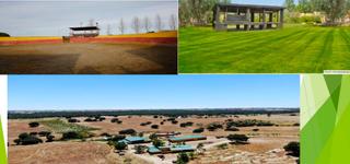 Masia a Camino de la zarzuela 115. Cortijo de lujo - datos reales.