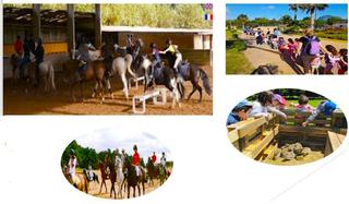Masia a Camino de la zarzuela 115. Cortijo de lujo - datos reales.