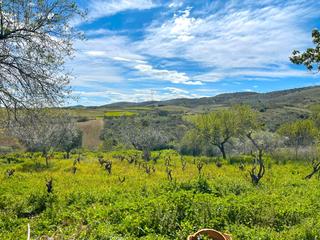 Mas à Camino del horcajo 4. Preciosa finca con vivienda, piscina, jardín, huerta, gallinero,