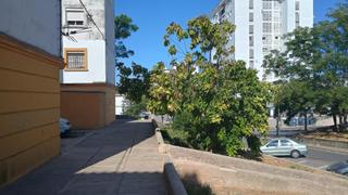 Appartement en Santiago - Coronacin. Bajo en la barriada el carmen