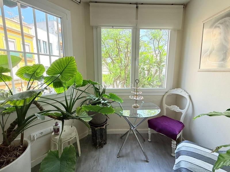 Foto 034a63ad-5e9f-438b-993b-3a573629b810. Pis a Centro Jerez de la Frontera