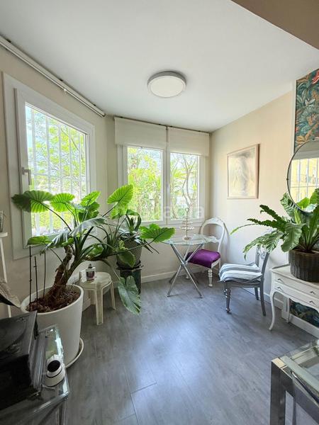 Foto e20f0569-4e95-4c58-90e0-1096d75fd273. Pis a Centro Jerez de la Frontera