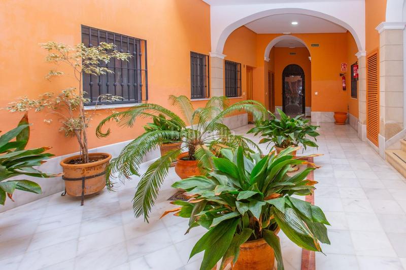 Foto 77411de3-cd37-4e6f-90c0-e1381436fe86. Rez-de-chaussée dans Centro Jerez de la Frontera