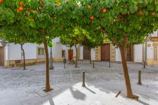 Planta baja en Centro. Piso bajo en el corazón de jerez