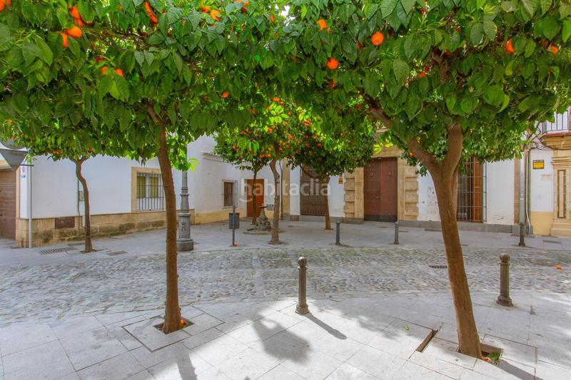 Foto 891f9e4e-19c0-4eba-86dd-50cd99b34606. Rez-de-chaussée dans Centro Jerez de la Frontera