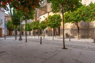 Planta baixa a Centro. Piso bajo en el corazón de jerez