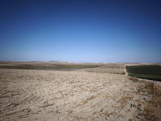 Rural plot in El Rocío - La Milagrosa. Fantástica finca de tierra de labor