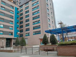 Local Comercial en Lube Kalea