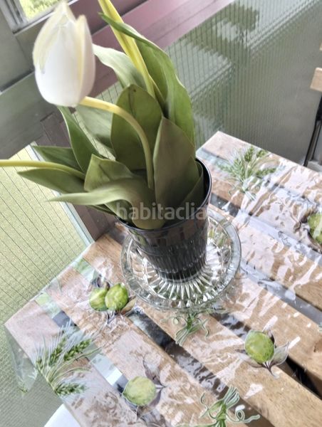 Foto a9b50777-1049-495b-a05d-211e88c0e343. Pis amb calefacció a Ugao - Miraballes