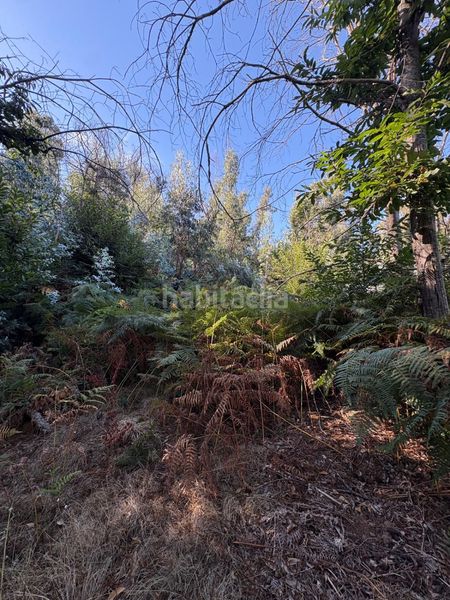 Foto 57387cfb-190a-48a9-90c7-edecd161222d. Casale in Victoria de Acentejo (La)