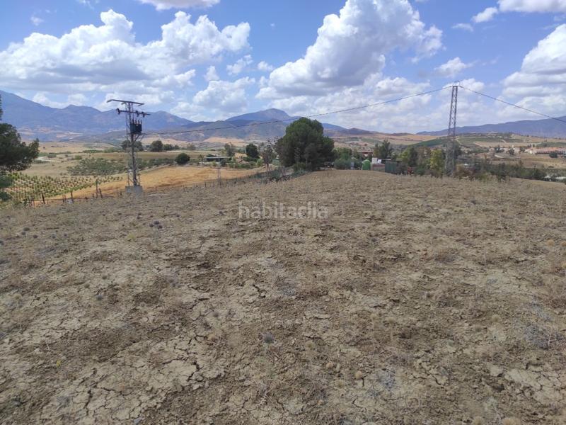 Foto 154f43e3-f52f-4c0b-9f70-7644e3268e23. Terreno residenziale in Pizarra