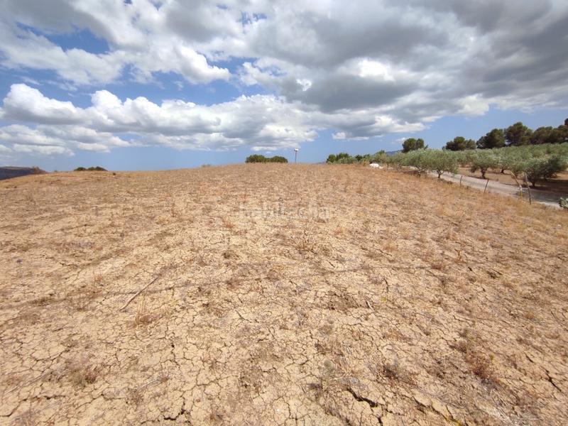 Foto 32262456-e439-47e5-a469-aea4639465b0. Terreno residenziale in Pizarra