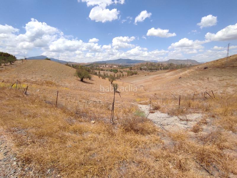 Foto 37e79211-3f75-440e-884f-759137b2dc68. Terreno residenziale in Pizarra