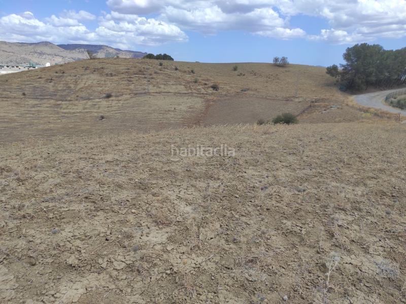 Foto 6f48a480-bc0e-45f3-abde-e58cb9536519. Terreno residenziale in Pizarra