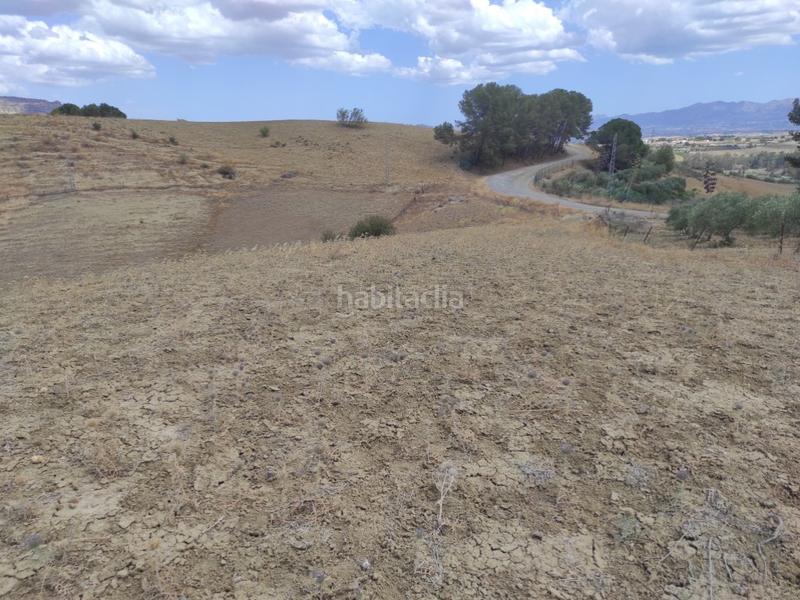 Foto 77c3cde1-22cb-4b22-a814-ea08cc0d1adf. Terreno residenziale in Pizarra