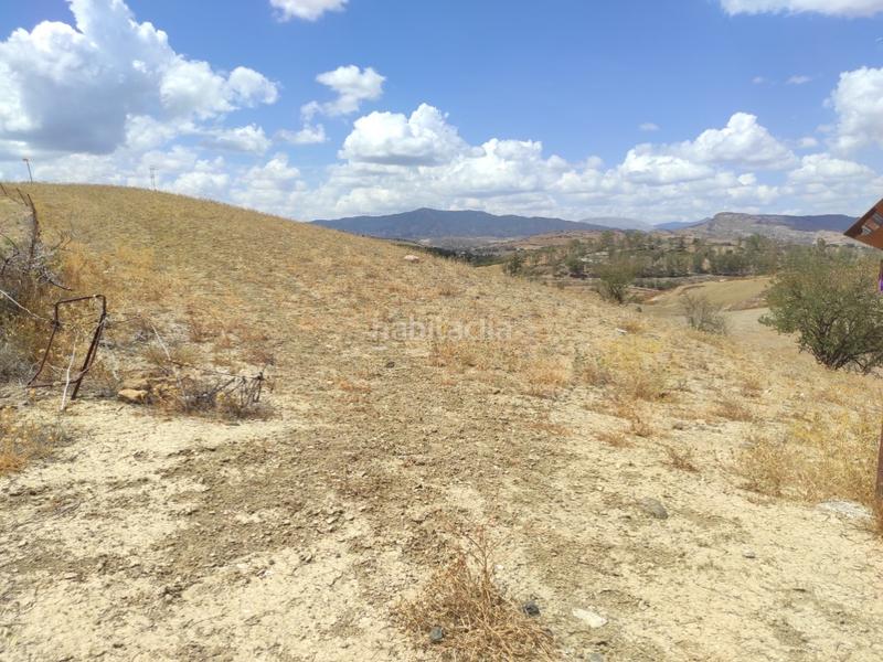 Foto 81a36a1e-b972-46fa-9b17-5a5ed50529ac. Terreno residenziale in Pizarra