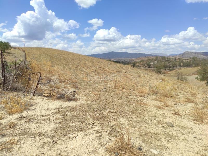 Foto 8d0da29e-b8cf-4072-b9b8-0b885720387d. Terreno residenziale in Pizarra