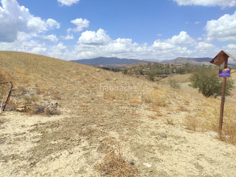 Foto 991b606f-bbc5-4a21-8d5f-a749d91a08eb. Terreno residenziale in Pizarra