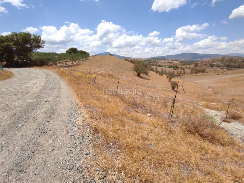 Foto 9c3527de-80bf-4ef8-a2f7-045f1f87b5fc. Terreno residenziale in Pizarra