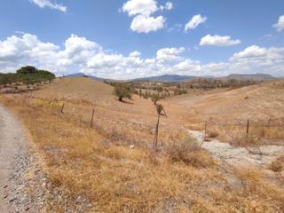 Terreny residencial  N/a. Terreno en suelo urbanizable sectorizado en venta!!