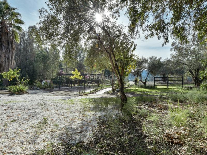 Foto 052ec2c4-361b-4db0-b5f8-42bfbf84cb0b. Haus mit pool in Guaro