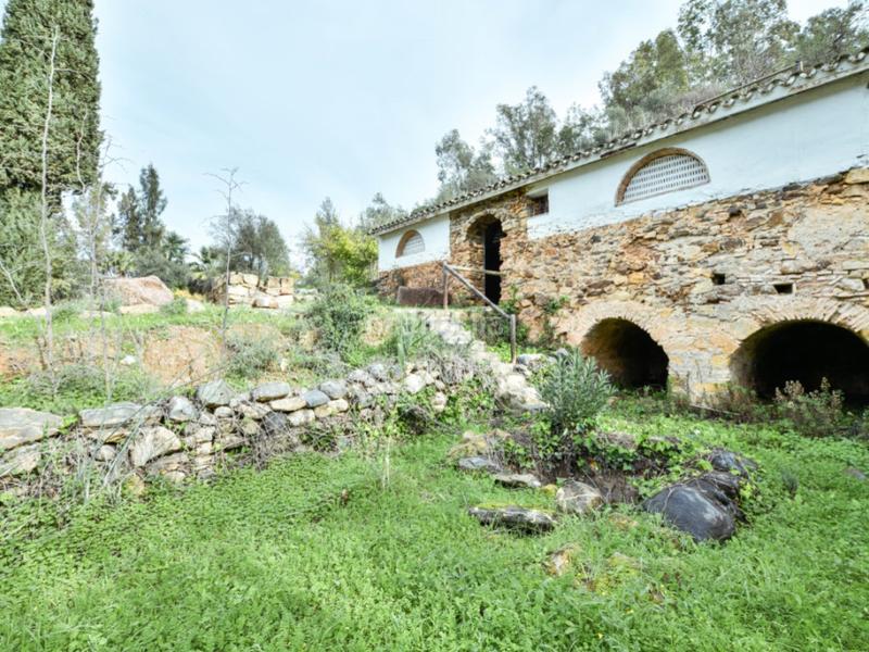 Foto 887fce66-d748-4d8c-9f91-db3e651217b1. Haus mit pool in Guaro