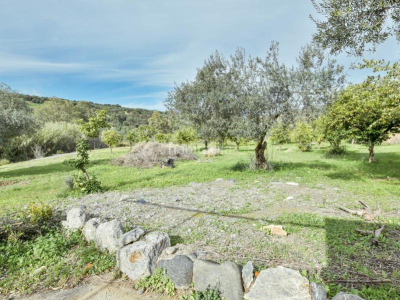 Foto 9b64222e-a2d2-4730-9041-b030f57b4ff2. Haus mit pool in Guaro