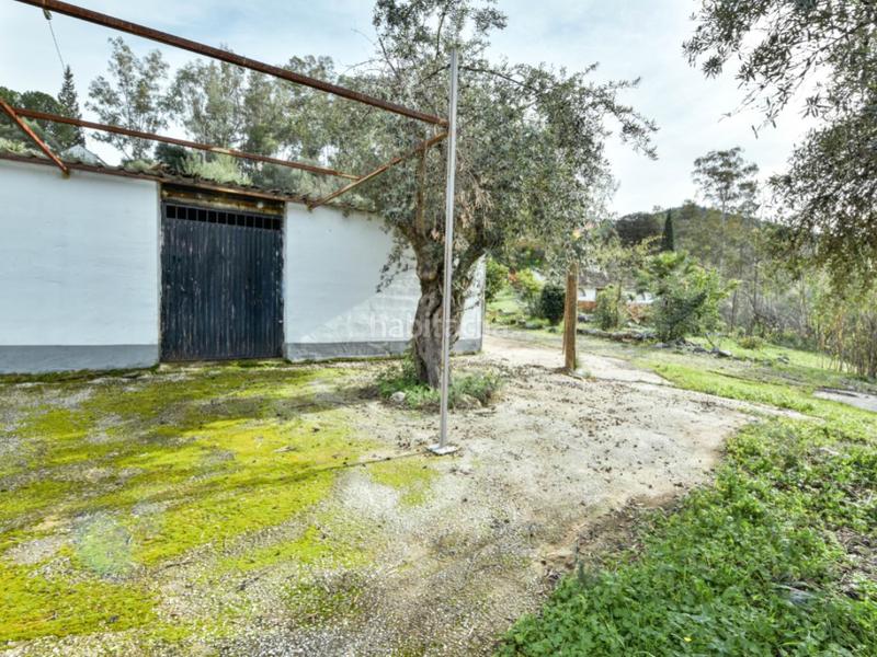 Foto 9df16525-54db-41de-9a6e-ba73e7023de3. Haus mit pool in Guaro