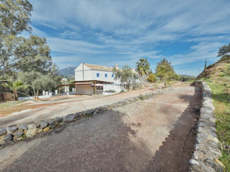 Foto dab92a21-d753-4995-b9ac-a6859b0969a6. Haus mit pool in Guaro