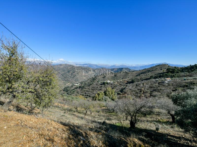 Foto 0b6bcb2f-08fb-4b4e-b64f-ccb6fde67ed6. House in Olías Málaga