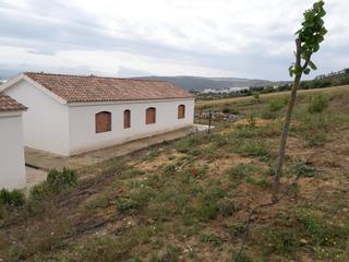 Haus in Bornos. Finca rustica en bornos con edificaciones y vistas al lago