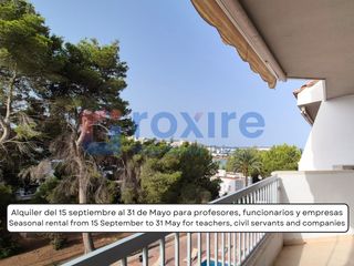Lloguer Pis  Avenida doctor fleming. Piso 1 habitación terraza enfrente playa san antonio de portmany