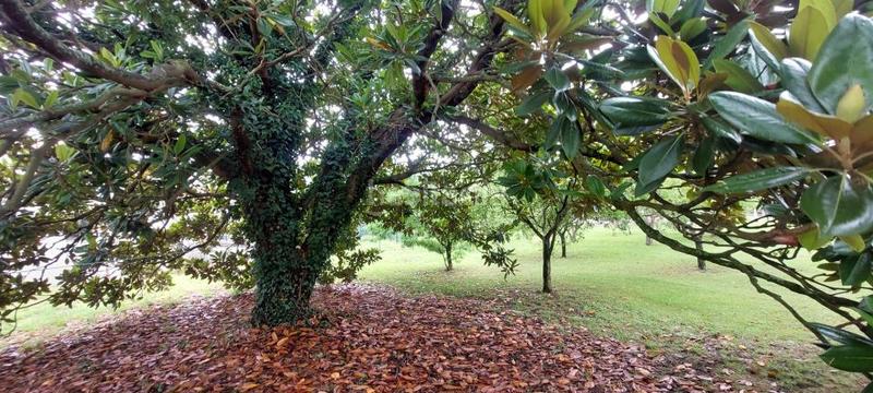 Foto 6e59beac-1f0a-499a-b416-968228144cbe. Maison avec chauffage parking dans Meruelo