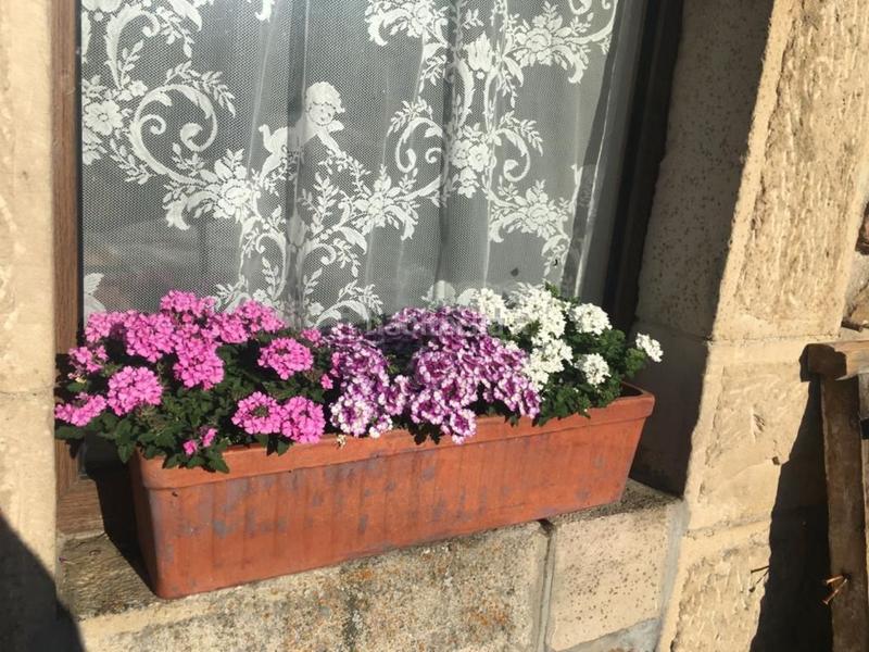 Foto 42f6c5a5-fa4e-48c9-8ef6-5d84e38b57eb. Maison dans Polaciones