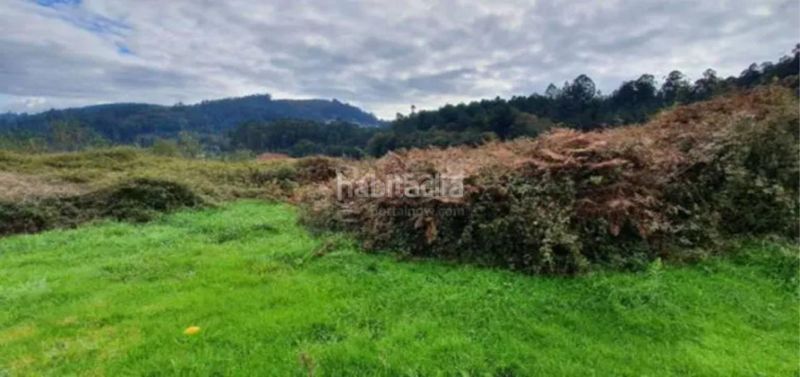 Foto b3a28746-640c-4839-b6ac-2aa34a12c1fe. Terreny residencial a Rois